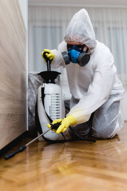 Professional Pest Control in Mount Union, PA